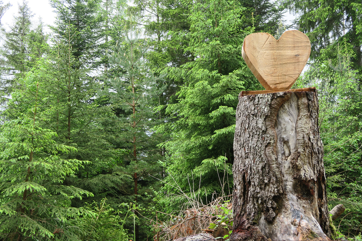 20211105 IMG_8470-1200x800.jpg